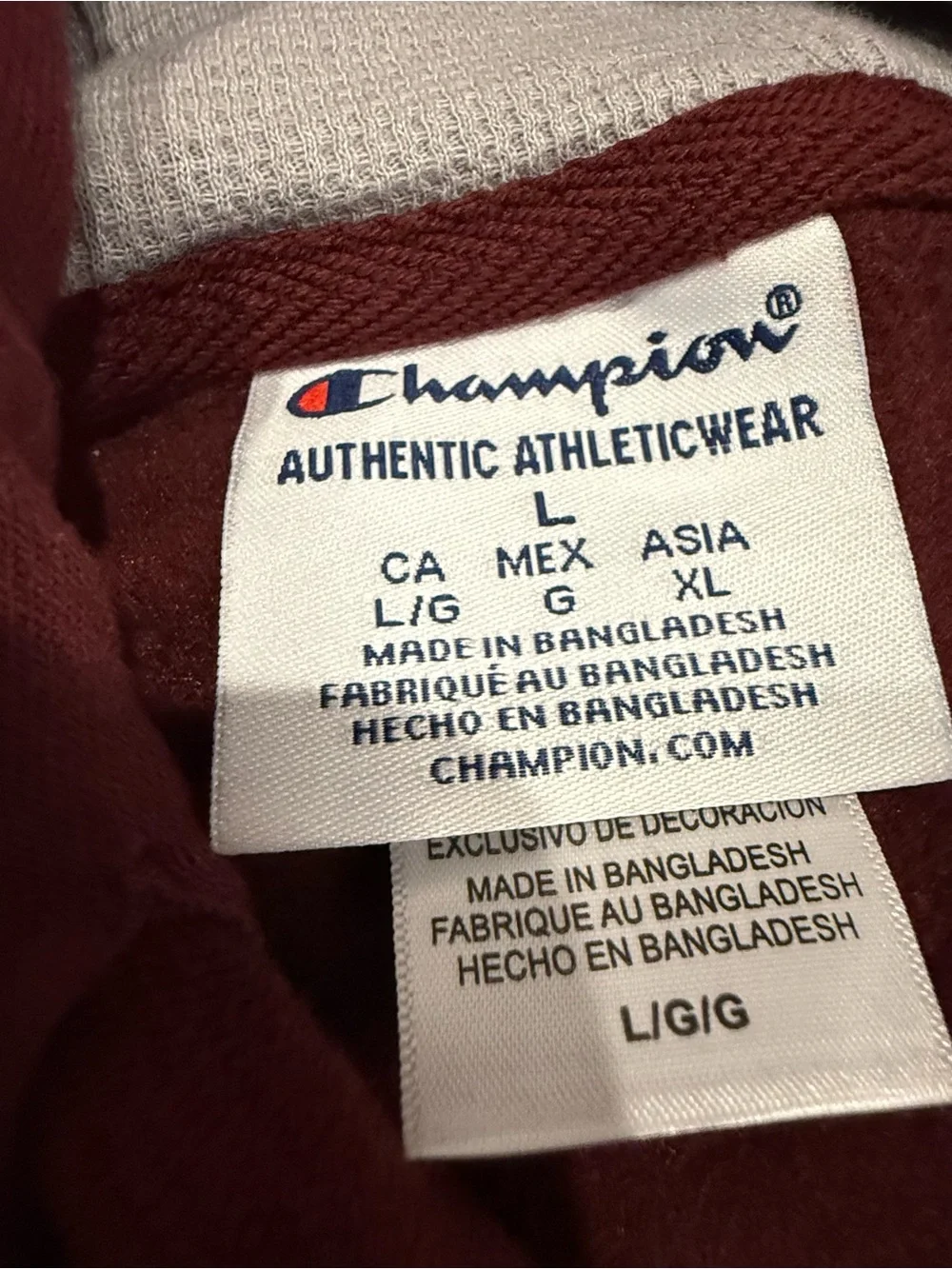 Champion hoodie texas